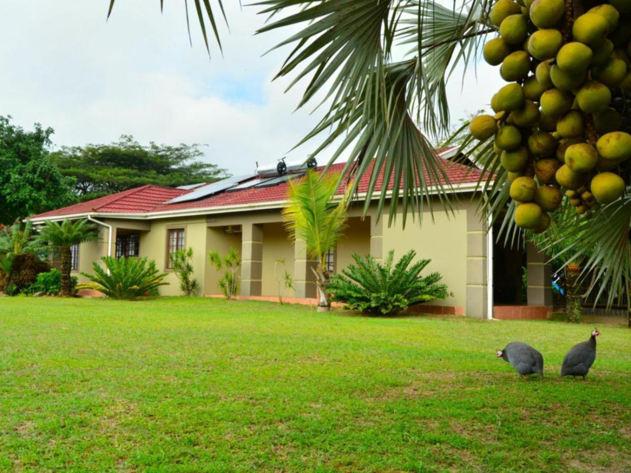 Villa Dumehlezi Self Catering à Sodwana Bay Chambre photo